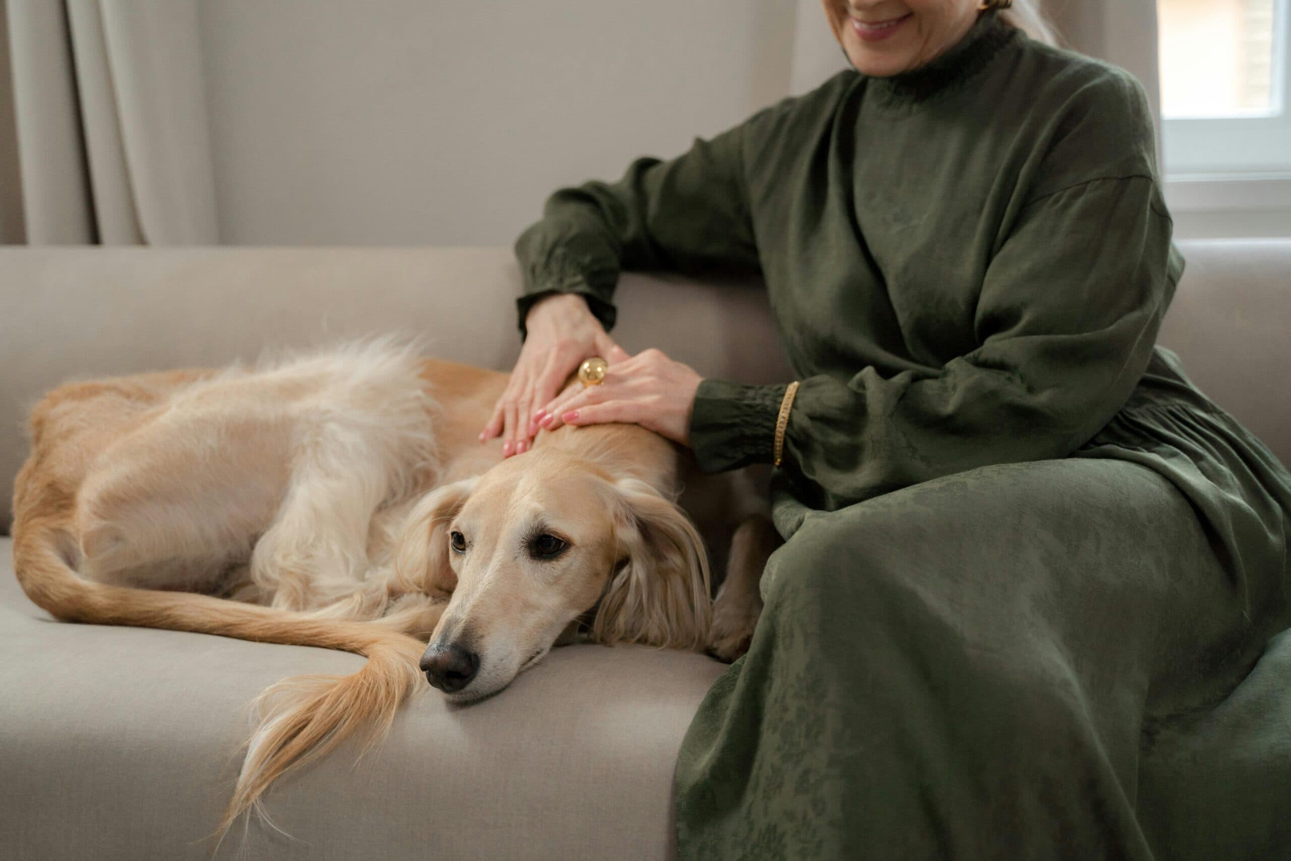 O melhor companheiro: como um animal de estimação pode transformar a maturidade